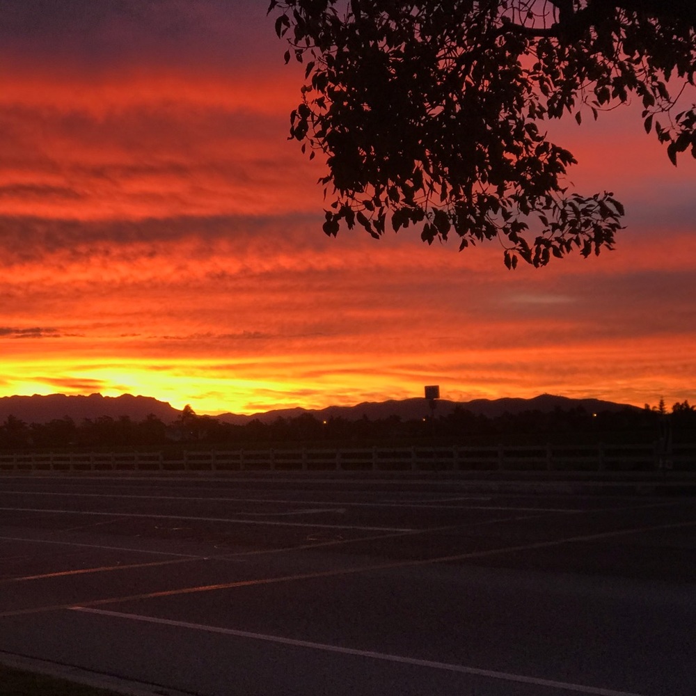 Meet your Posher, Sana